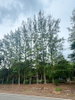 listing thumbnail image 84
