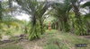 listing thumbnail image 15