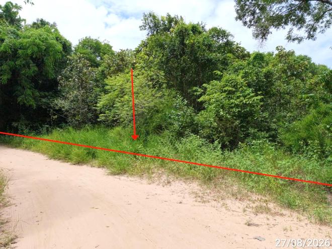 picture LAND 1817 Sq.w. Kae Dam Maha Sarakham for 1.4M - 4/17