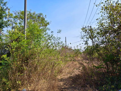 95618 - ขายที่ดินเปล่า หัวหิน ใกล้ Black Mountain
