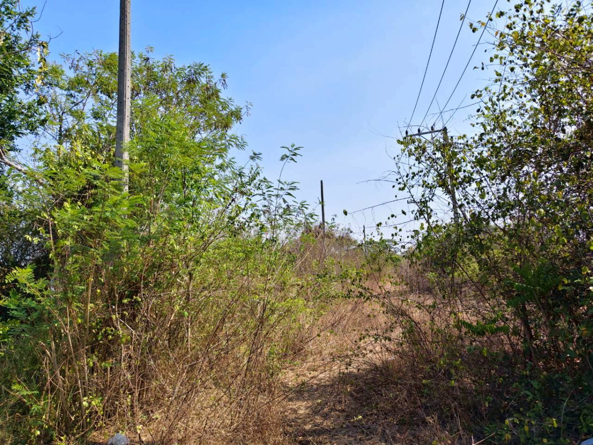 รูป 95618 - ขายที่ดินเปล่า หัวหิน ใกล้ Black Mountain - รูปที่ 1/9