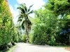 listing thumbnail image 25