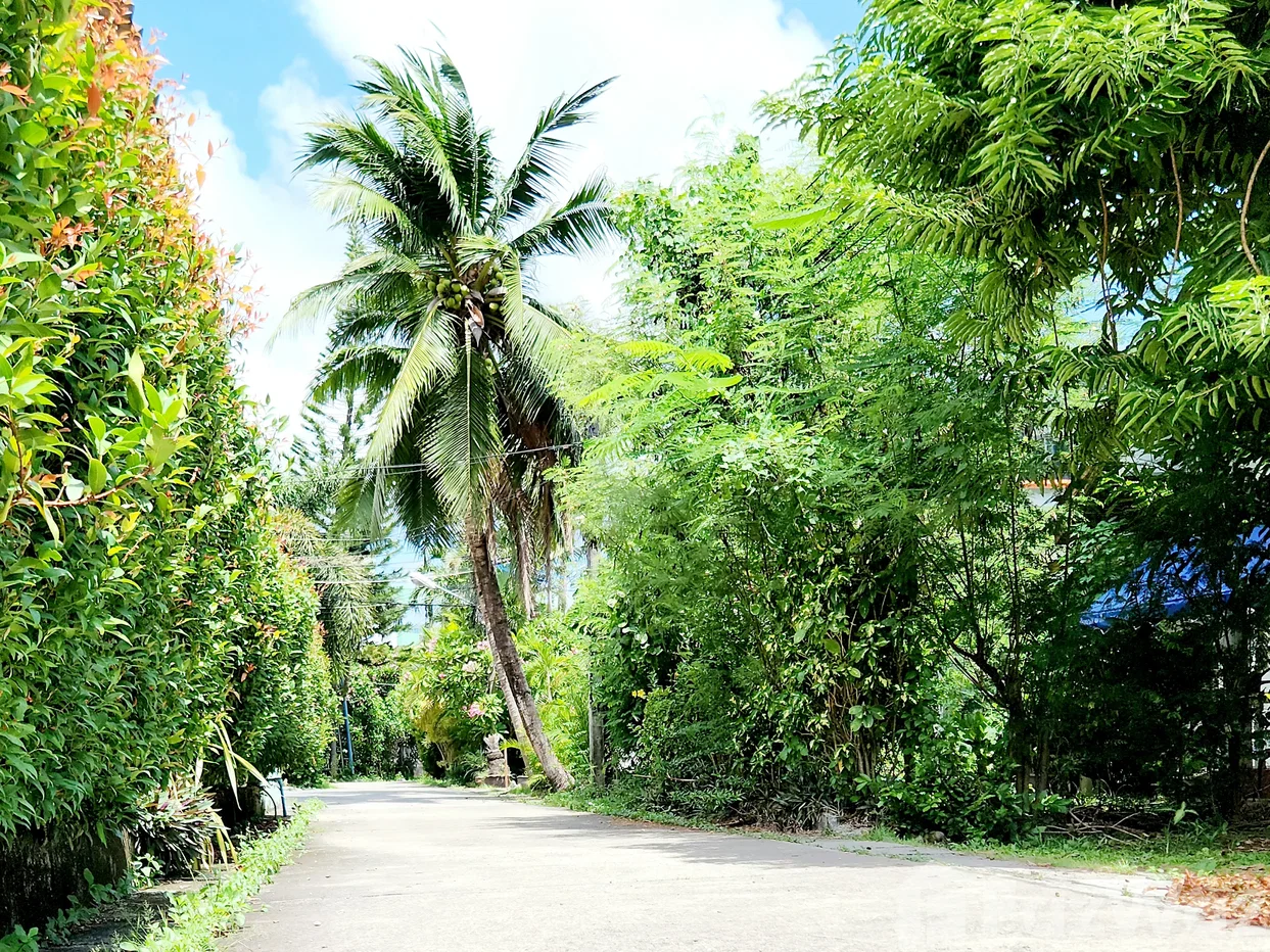 picture 2 Bedroom House for rent in Patong, Phuket  6796567 - 26/26