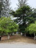listing thumbnail image 31