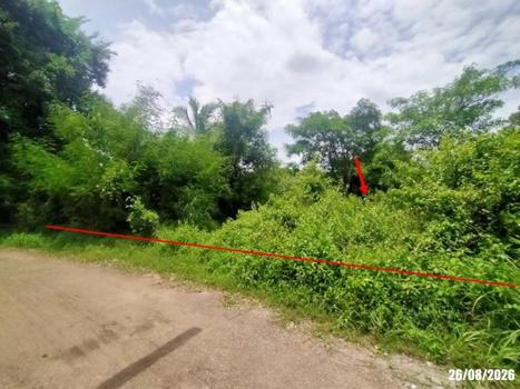 picture LAND 780 Sq.w. Muang Udon Thani Udon Thani for 2.3M - 18/21