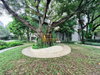 listing thumbnail image 26