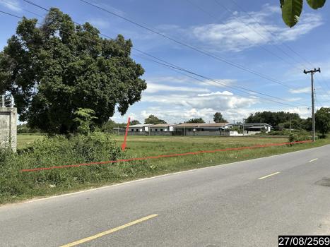 picture LAND 10404 Sq.w. Bua Yai Nakhon Ratchasima for 19.8M - 22/25