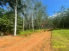 listing thumbnail image 25