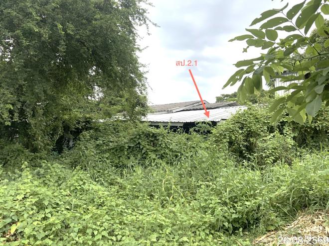 picture HOME 379 Sq.w. Khok Samrong Lopburi for 2.4M - 13/35