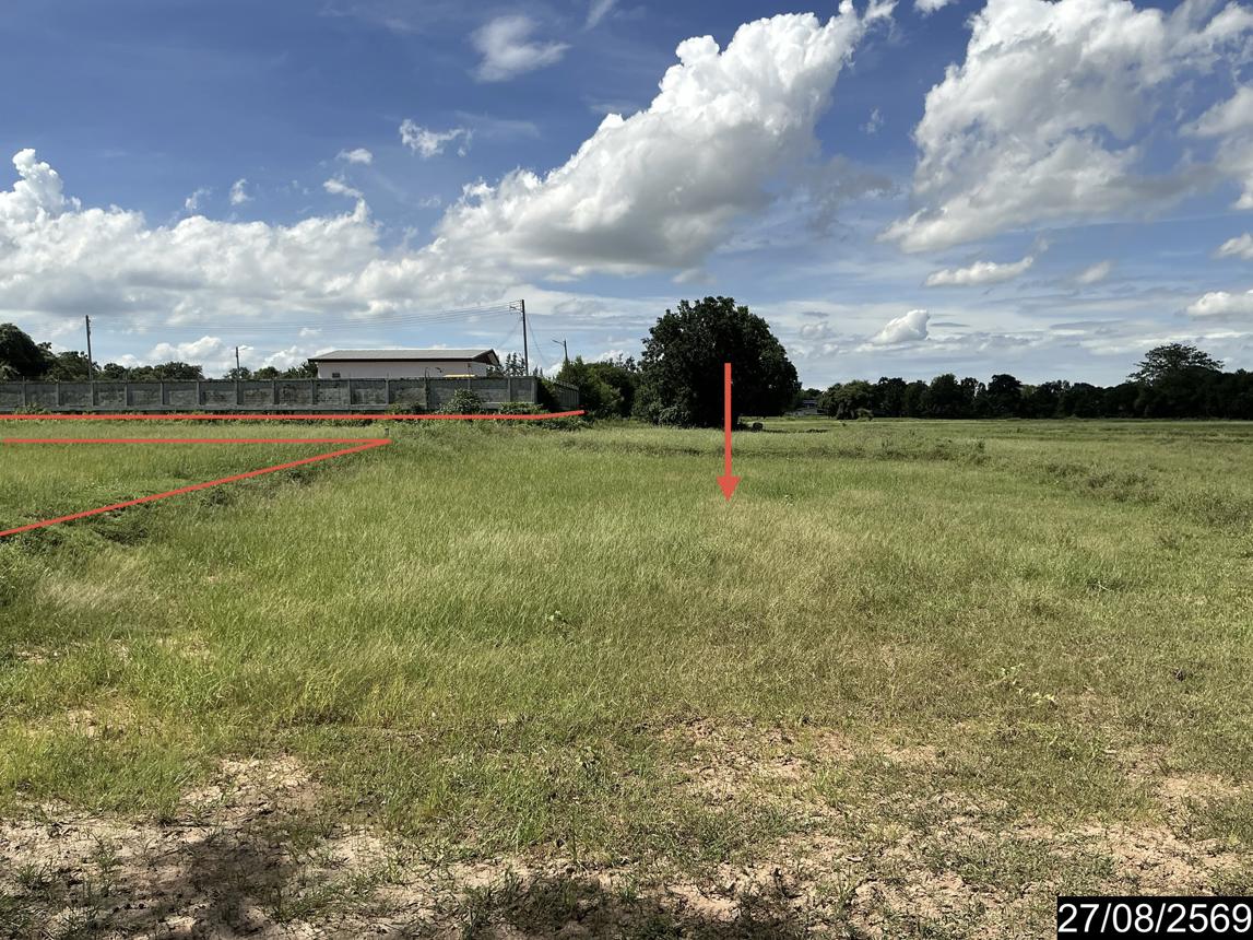 picture LAND 10404 Sq.w. Bua Yai Nakhon Ratchasima for 19.8M - 17/25