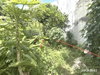 listing thumbnail image 12