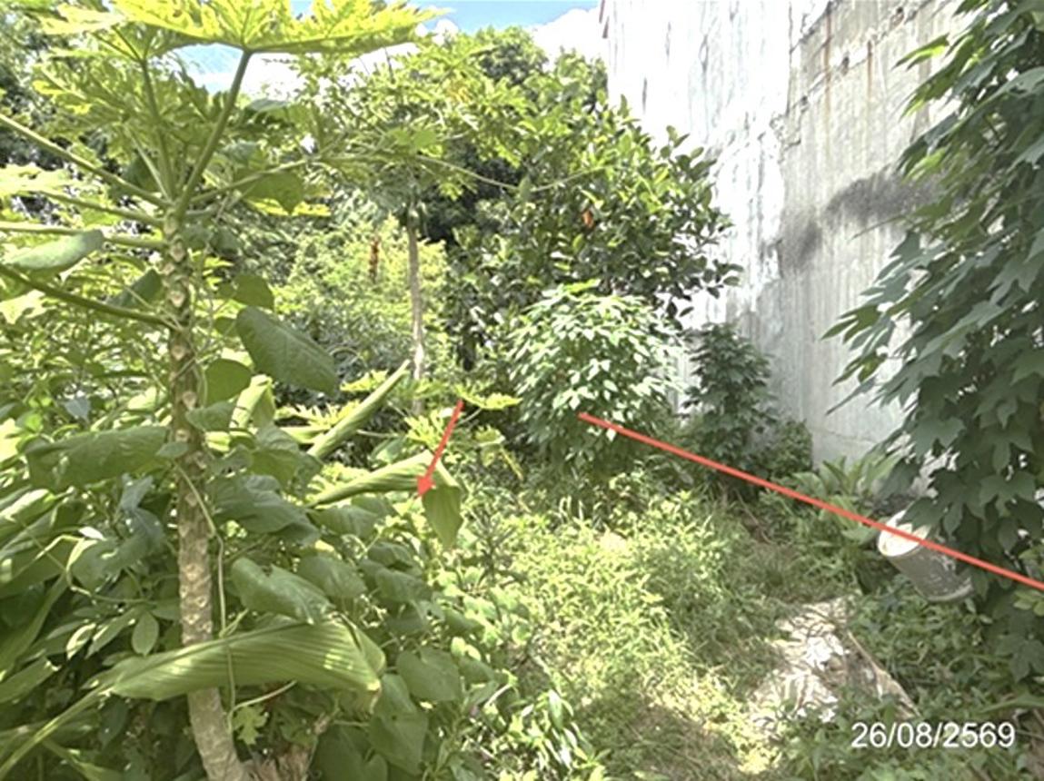 picture LAND 154.2 Sq.w. Warin Chamrap Ubon Ratchathani for 6.9M - 13/23