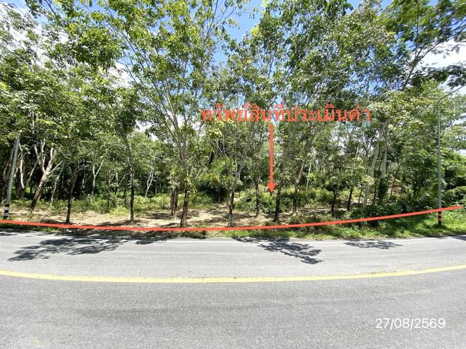 รูป ที่ดินว่างเปล่า 3040 ตร.วา ฉวาง นครศรีธรรมราช 3.8M - รูปที่ 6/21