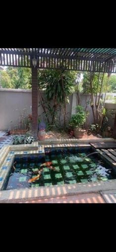 5-bed house for sale, 300 sqm, 85 sq wah, Baan Amornphan 9