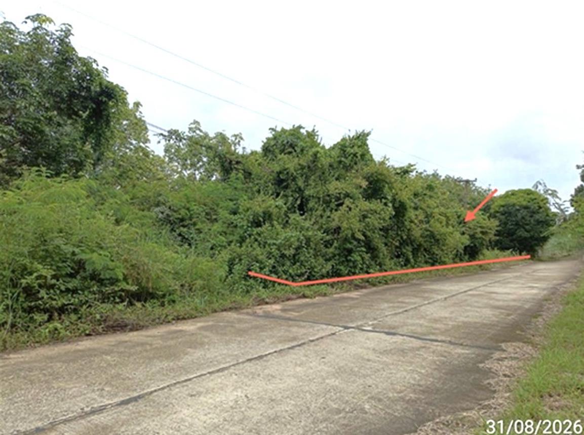 picture LAND 602 Sq.w. Selaphum Roi Et for 452,000 - 11/19