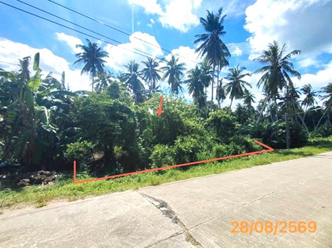 picture LAND 106 Sq.w. Khlong Thom Krabi for 679,000 - 4/19