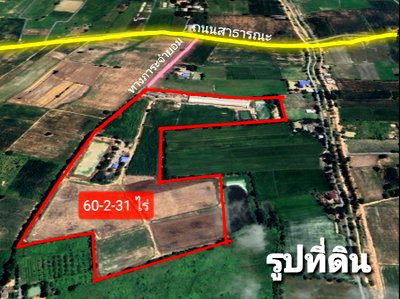 ที่ดิน สุพรรณบุรี : 95451 - ขายด่วน ที่ดินดอนเจดีย์ แปลงใหญ่ 60 ไร มีรั้วปูนรอบแนวเขตที่ดินแล้ว