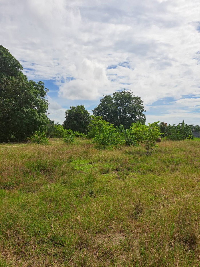 picture 7 Rai Land for Sale, Phanat Nikhom, Chon Buri, Ready for Sufficiency Economy - 8/11