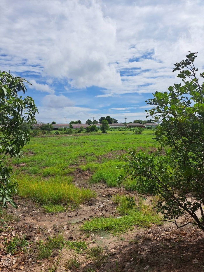 picture 7 Rai Land for Sale, Phanat Nikhom, Chon Buri, Ready for Sufficiency Economy - 4/11