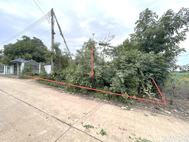 รูป ที่ดินว่างเปล่า 150 ตร.วา วิเชียรบุรี เพชรบูรณ์ 398,000 - รูปที่ 2/15