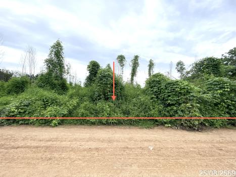 รูป ที่ดินว่างเปล่า 8869 ตร.วา หนองไผ่ เพชรบูรณ์ 3.3M - รูปที่ 14/17