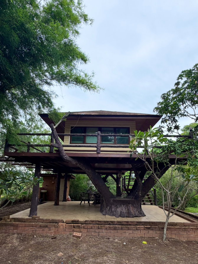 รูป ขายบ้านตากอากาศพร้อมบ้านต้นไม้ บนที่ดิน 2 ไร่ ปากช่อง - รูปที่ 75/89