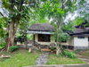 listing thumbnail image 80