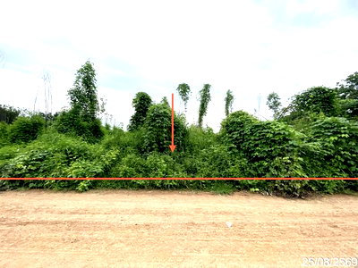 ที่ดิน เพชรบูรณ์ : ที่ดินว่างเปล่า 8869 ตร.วา หนองไผ่ เพชรบูรณ์ 3.3M