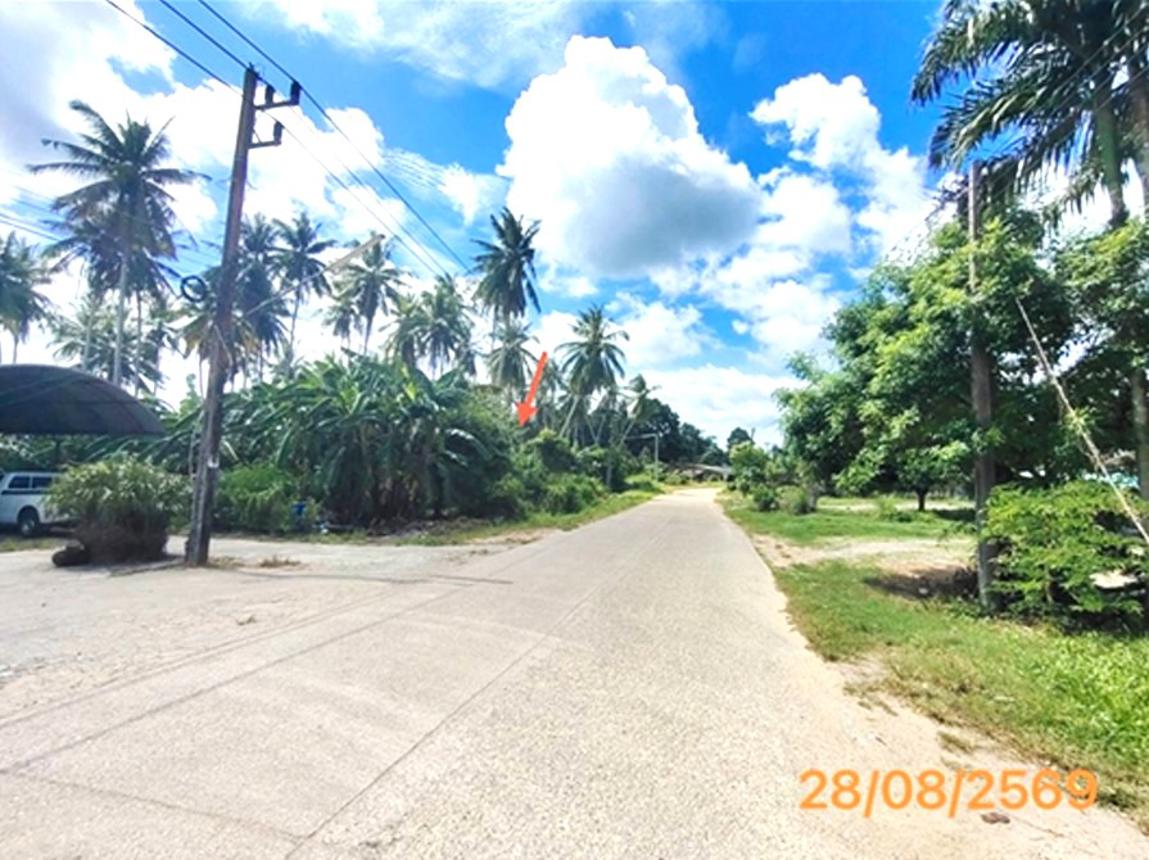 picture LAND 106 Sq.w. Khlong Thom Krabi for 679,000 - 15/19