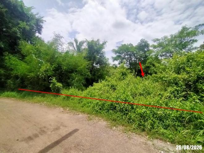 picture LAND 780 Sq.w. Muang Udon Thani Udon Thani for 2.3M - 1/21