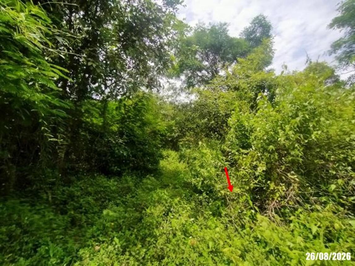picture LAND 780 Sq.w. Muang Udon Thani Udon Thani for 2.3M - 16/21