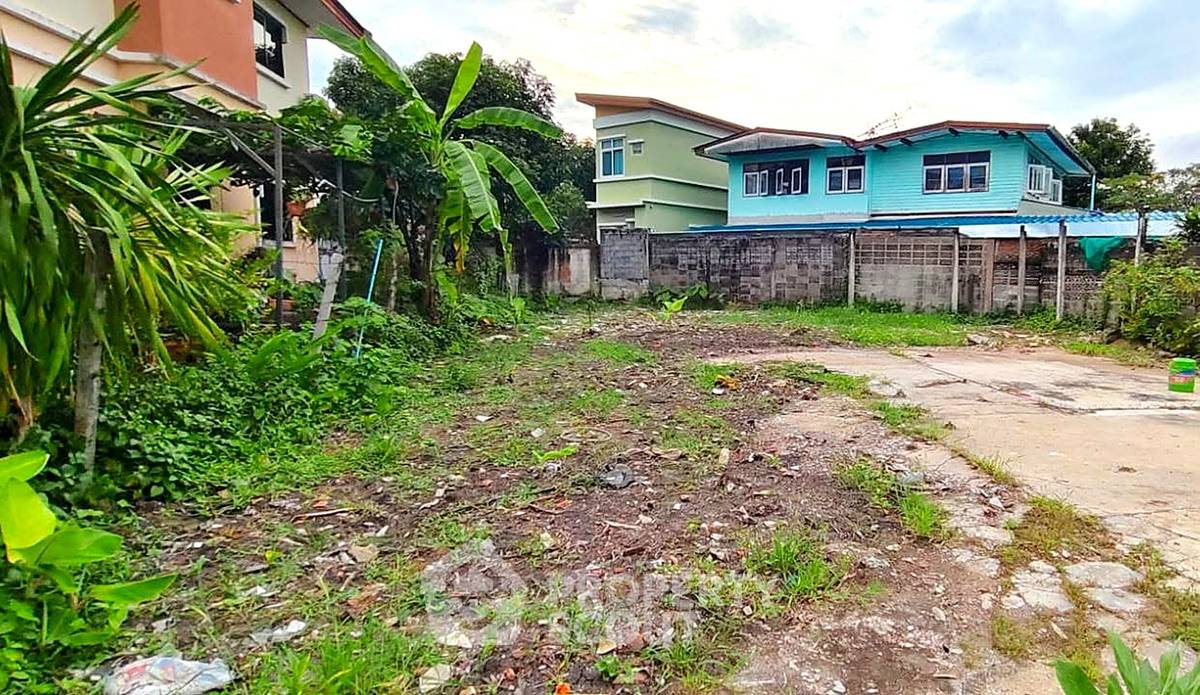 picture 288 m² Land for Sale in Bang Na Nuea (ID 3367468) - 2/3