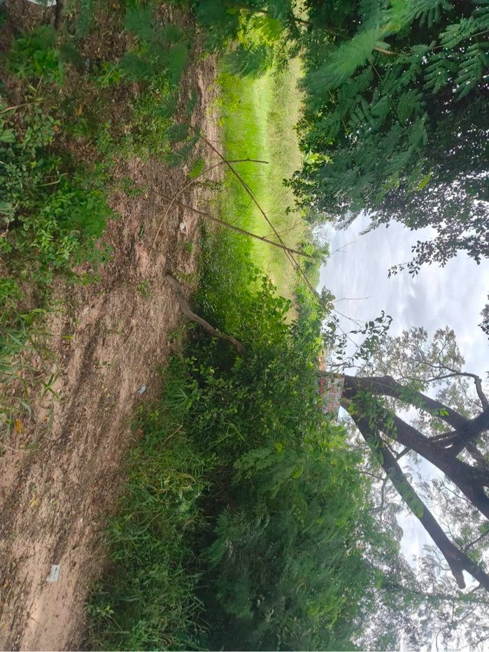 รูป เจ้าของขายเอง เชียงยืน ติดถนนหลัก อด.3001 (บ้านเลื่อม-เชียงเพ็ง) ที่ดิน ทำเลทอง รองรับการขยายตัวของเมืองอุดรธานี - รูปที่ 10/20