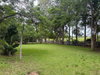 listing thumbnail image 57