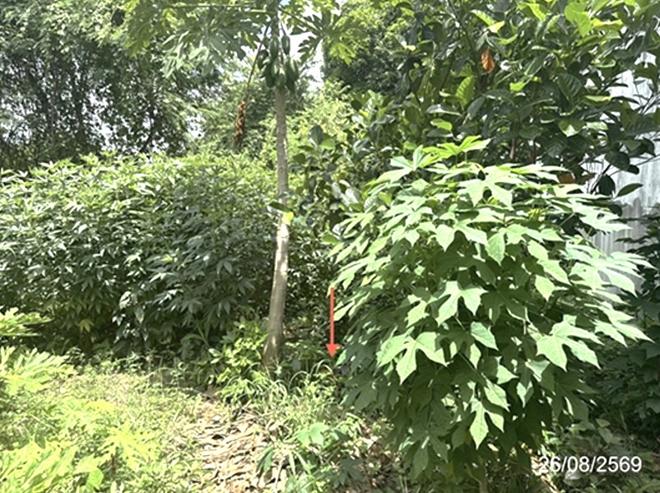 picture LAND 154.2 Sq.w. Warin Chamrap Ubon Ratchathani for 6.9M - 5/23