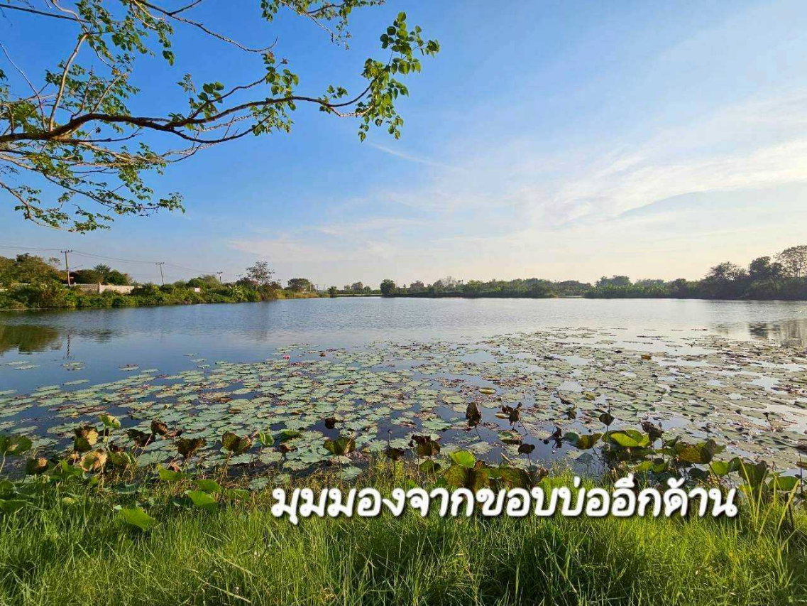 รูป 95431 - ขายที่ดินแปลงใหญ่พร้อมบ่อน้ำ 53 ไร่ ติดถนน (ใกล้ถนน 3064) ต.โคกพุทรา อ.โพธิ์ทอง จ.อ่างทอง โฉนดพร้อมโอนทันที เหมาะสำหรับ ทำฟาร์ม เกษตรกรรม - รูปที่ 3/10