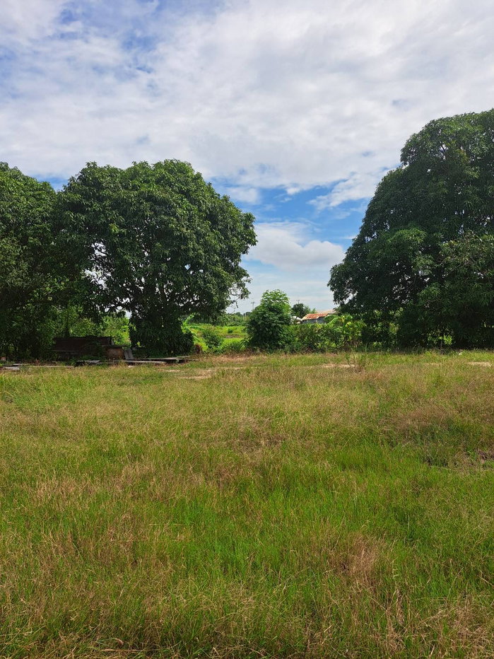 picture 7 Rai Land for Sale, Phanat Nikhom, Chon Buri, Ready for Sufficiency Economy - 10/11