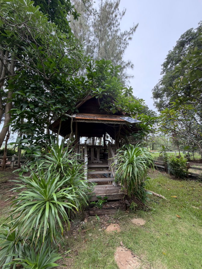 รูป ขายบ้านตากอากาศพร้อมบ้านต้นไม้ บนที่ดิน 2 ไร่ ปากช่อง - รูปที่ 57/89