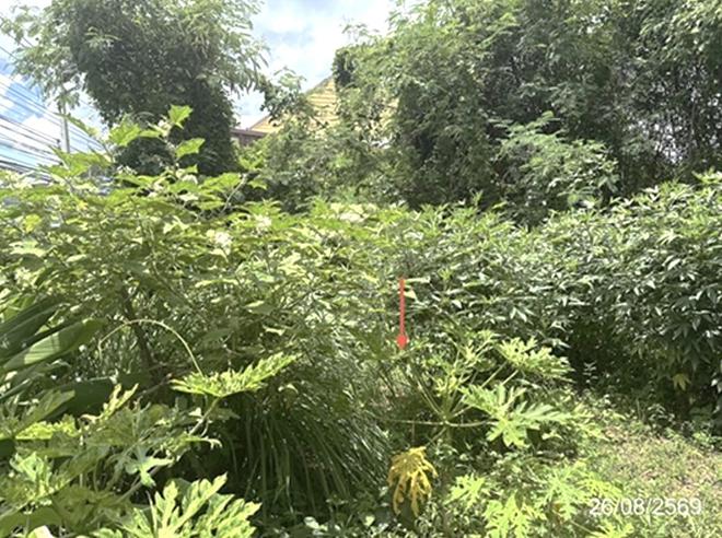 picture LAND 154.2 Sq.w. Warin Chamrap Ubon Ratchathani for 6.9M - 6/23