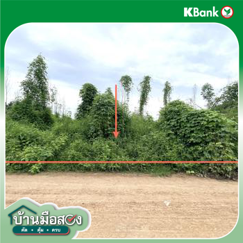 รูป ที่ดินว่างเปล่า 8869 ตร.วา หนองไผ่ เพชรบูรณ์ 3.3M - รูปที่ 15/17