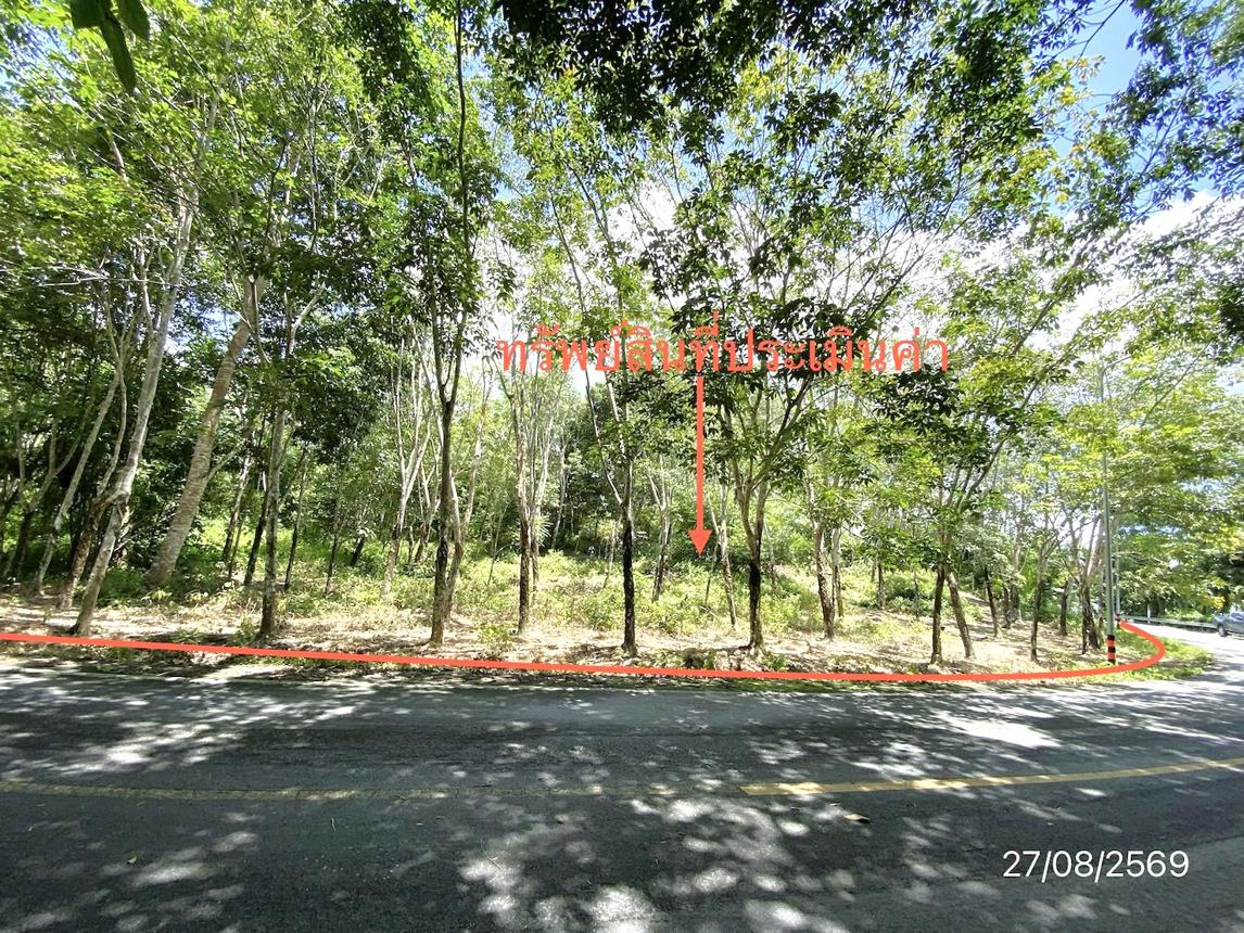 รูป ที่ดินว่างเปล่า 3040 ตร.วา ฉวาง นครศรีธรรมราช 3.8M - รูปที่ 13/21