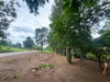 listing thumbnail image 85