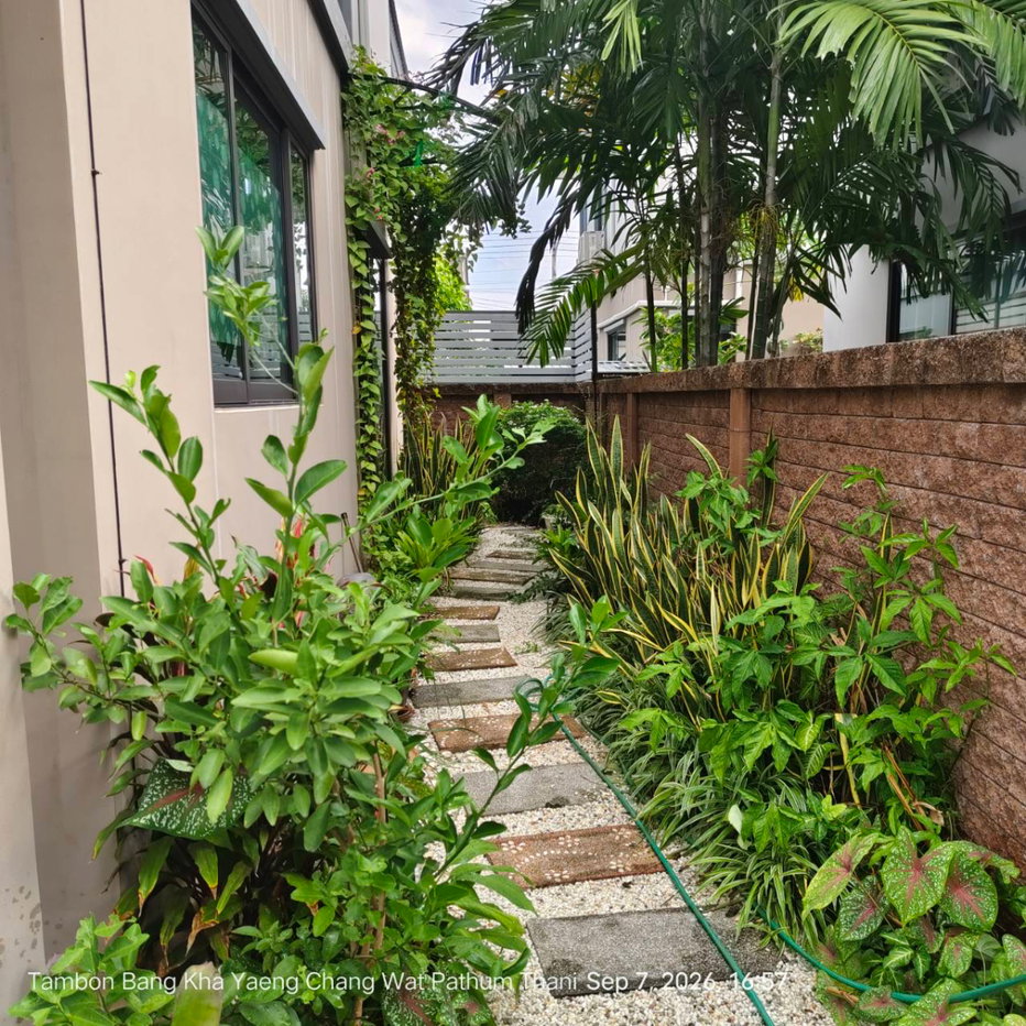 picture Sale the plant krungthep- Pathum Thani - 3/12