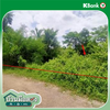 listing thumbnail image 18