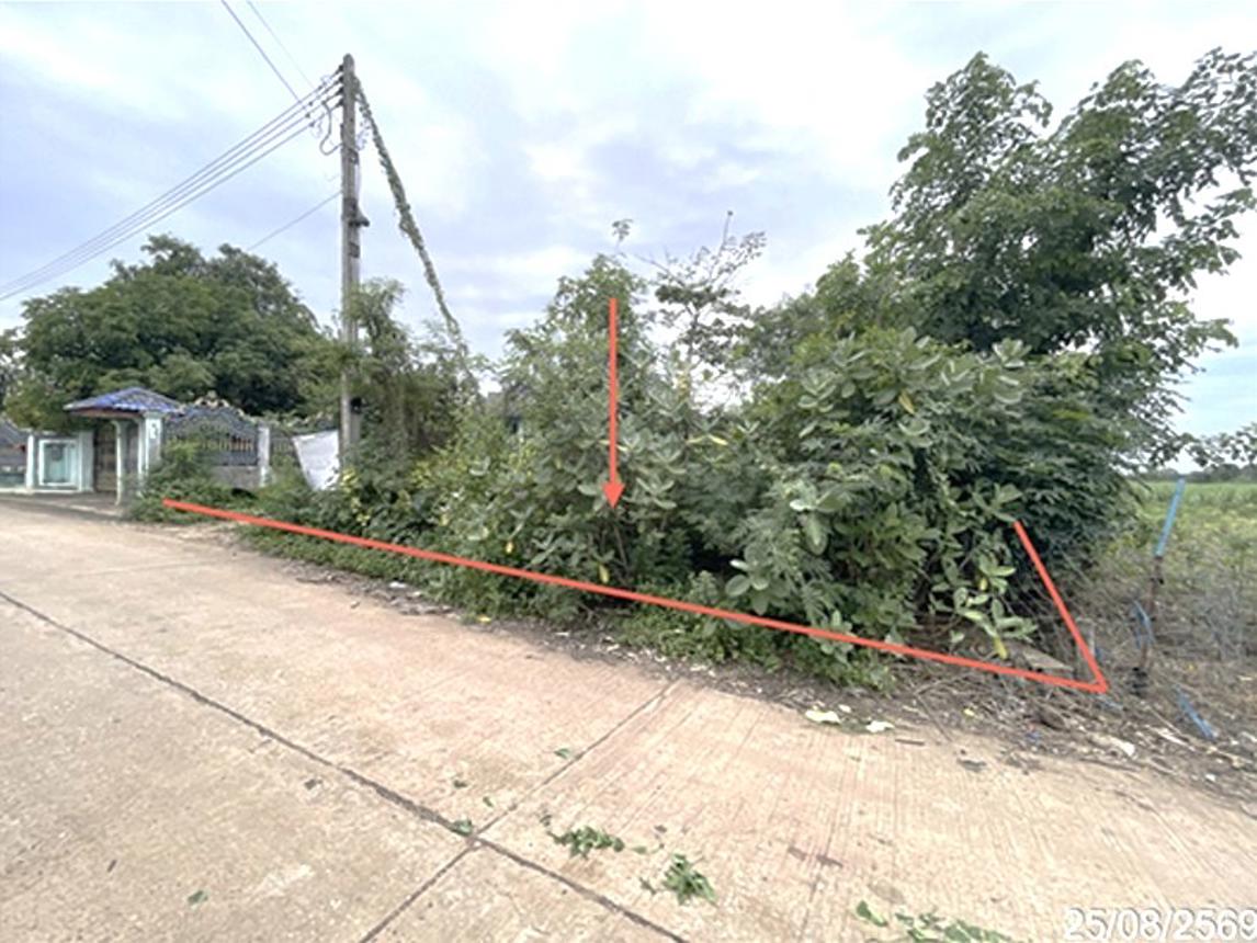 รูป ที่ดินว่างเปล่า 150 ตร.วา วิเชียรบุรี เพชรบูรณ์ 398,000 - รูปที่ 8/15