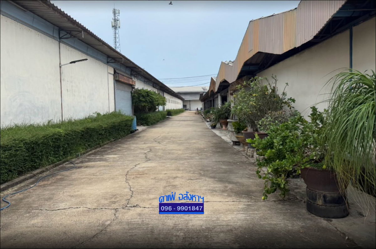 รูป ขายที่ดินพร้อมโรงงานและสิ่งปลูกสร้างติดถนนมาลัยแมน เลขที่ทรัพย์ : S1069 - 152 - รูปที่ 8/8