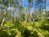 listing thumbnail image 19