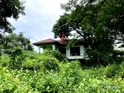 บ้านเดี่ยว เพชรบูรณ์ : บ้านเดี่ยว 429.3 ตร.วา วิเชียรบุรี เพชรบูรณ์ 5.1M