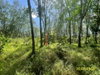 listing thumbnail image 22