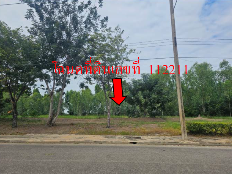 picture LAND 381.8 Sq.w. Muang Nakhon Pathom Nakhon Pathom for 2.6M - 9/11